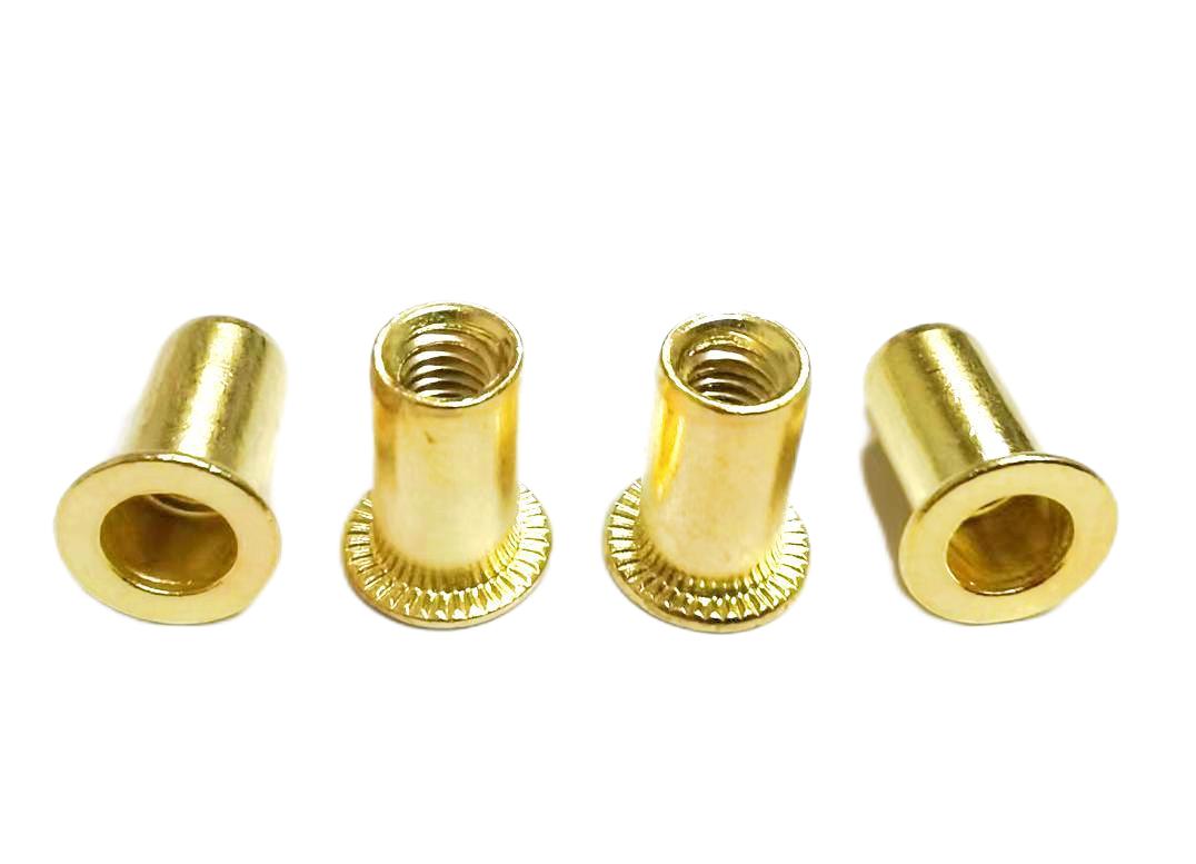 Paidu copper rivet nuts rivet nuts cover nuts flat head rivet nuts brass rivet nuts