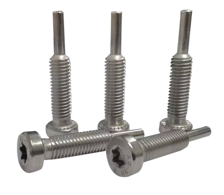 Paidu factory direct sales non-standard screws non-standard bolts stainless steel fasteners self-tapping screws anti-theft screws