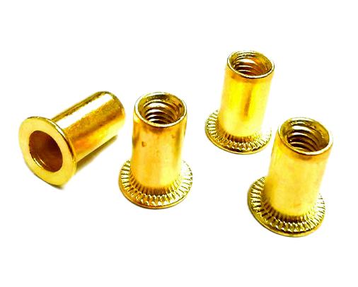 Paidu copper rivet nuts rivet nuts cover nuts flat head rivet nuts brass rivet nuts